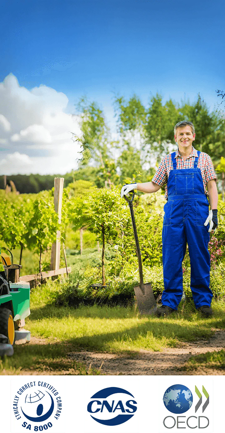 🌱 Cyclosinone Granular Weed Killer – Low-Toxicity Formula for Lawns & Gardens