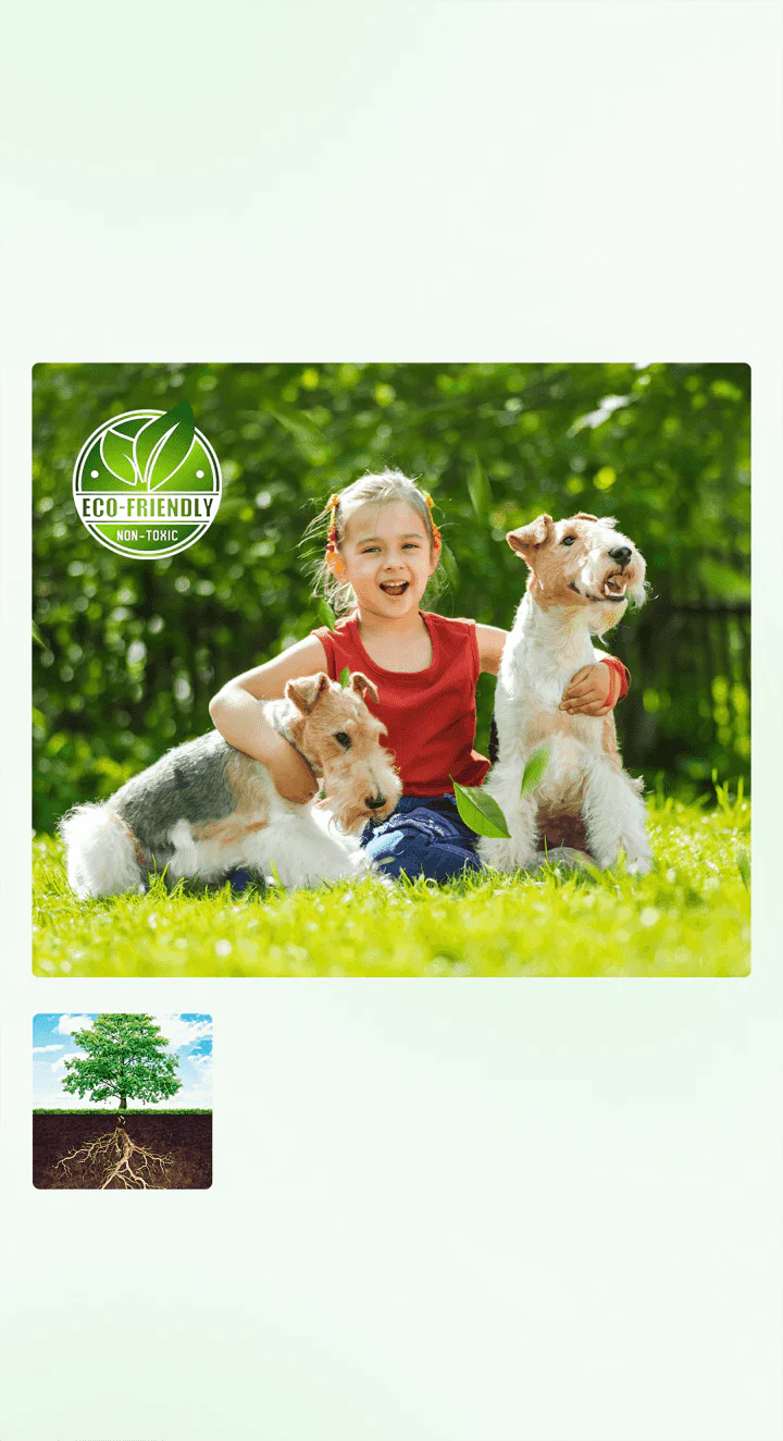 🌱 Cyclosinone Granular Weed Killer – Low-Toxicity Formula for Lawns & Gardens